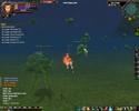 Perfect World-Elf Archer Low Lvl