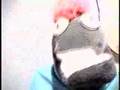Ungab-says-to-touch-