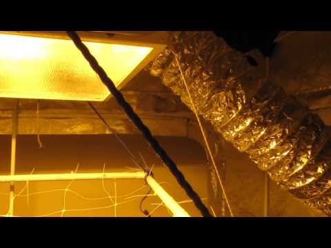 how to calculate cfm for grow room