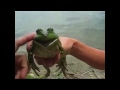 Funny Animals Videos | Funny Videos | Funny Cats | Funny Dogs 2015