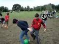 videos de Ballonnekestamp