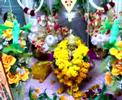 BAL GOPAL KRISHN