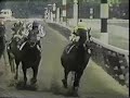 Seattle Slew -  The 1977 Belmont Stakes