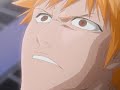 Ichigo Kurosaki- Animal I Have Become