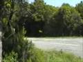 maestracci rally clio R3