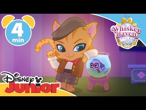 Whisker Haven Tales | Chowing Down | Disney Junior UK