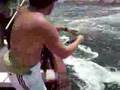 Anchova