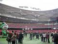 Inside the Bird's Nest