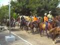 Dia do Vaqueiro