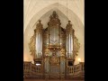 magdalena rainko plays organ recital in christ the king metropolitan cathedral in city of katowice, poland.