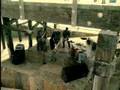 Switchfoot-Dare-You-