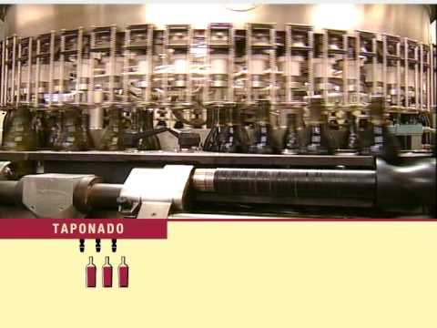 Cómo se elabora el vino argentino Cómo se elabora el vino argentino