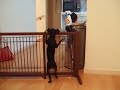 突破！