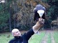 Bald eagle bijt Sanne in duim