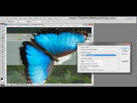 how to know rgb of a color