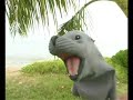 scratchy the seal
