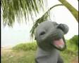 scratchy the seal