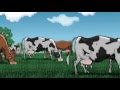 Wieviel Fleisch verträgt die Welt?