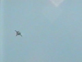 Su-47 Berkut Golden Eagle