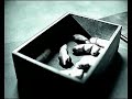 Le cercle : La vid�o interdite