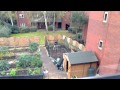 Green house online.mov