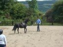 Horse Clinics Argyll Adventure Inveraray Scotland Horse Clinics Argyll Adventure Inveraray Scotland