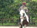 Horse Clinics Argyll Adventure Inveraray Scotland