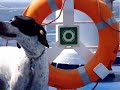 Boat - Sailing to Mykonos Island,Greece! www.mykonosexplorer.com