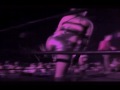 Allison Wonderland Custom Titantron.avi