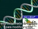 David Icke in Global Warning David Icke in Global Warning