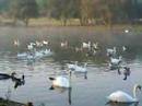 Parque da Cidade - Porto Parque da Cidade - Porto