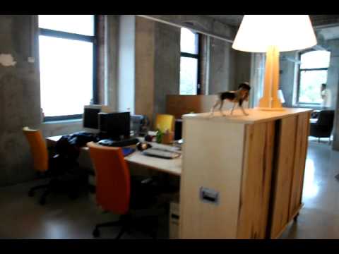 Image de prévisualisation YouTube