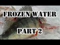 Frozen Water- Perch Ice Fishing PART 2