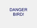Danger Bird's Ride