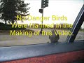 Danger Bird's Ride