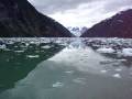 The David B in Endicott Arm Ice