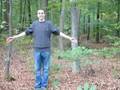 Comment danser le sirtakis dans les bois