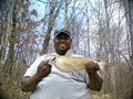CATFISH jugging trotline day 2 a lot of fish!