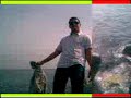 hajib 3ofer hajib 3ofer