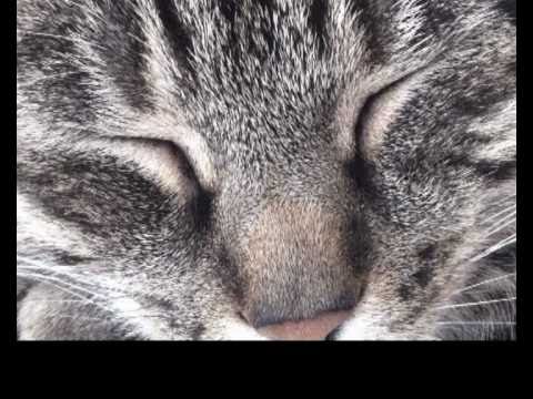 Sebstian -
