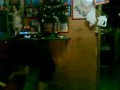 Video(096).3gp
