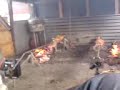 Srbi Pecu Pecenicu za pravoslavni Bozic Srbi Pecu Pecenicu za pravoslavni Bozic