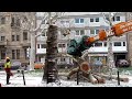 100 Jahre Baum sind in 10 Minuten Geschichte - Teil 1