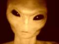 Real! Echt! Kein Fake! Alien vor meiner Tür!!