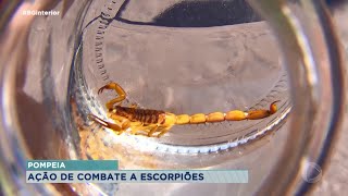 Pompéia orienta população no combate a escorpiões