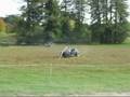 Tahora Fun in the Feild