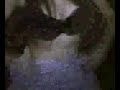 00 mew mew 00 Show Cam on Camfrog