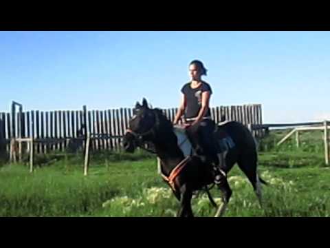 how to fit a d'ring snaffle