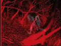 NEUROSIS - Locust Star