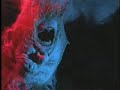 NEUROSIS - Locust Star